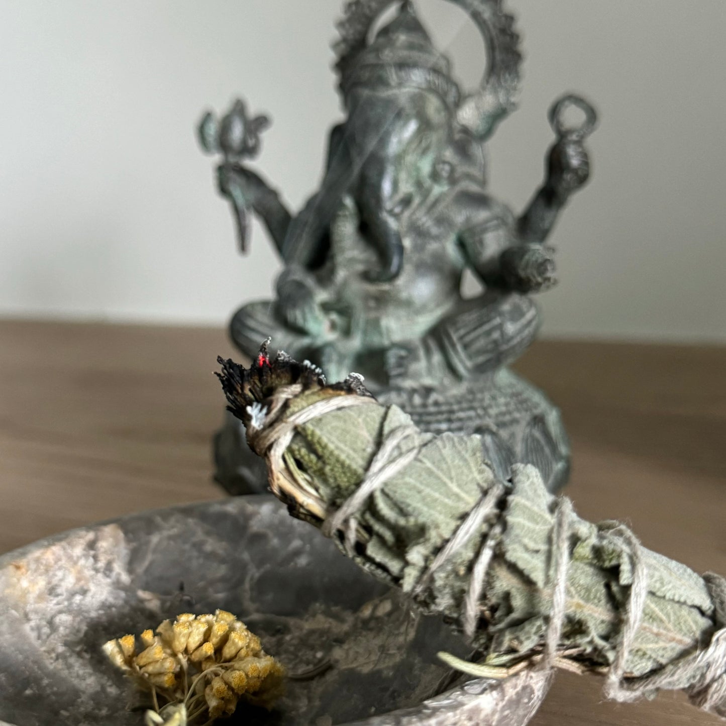 Sage Guard Bâton fumigation