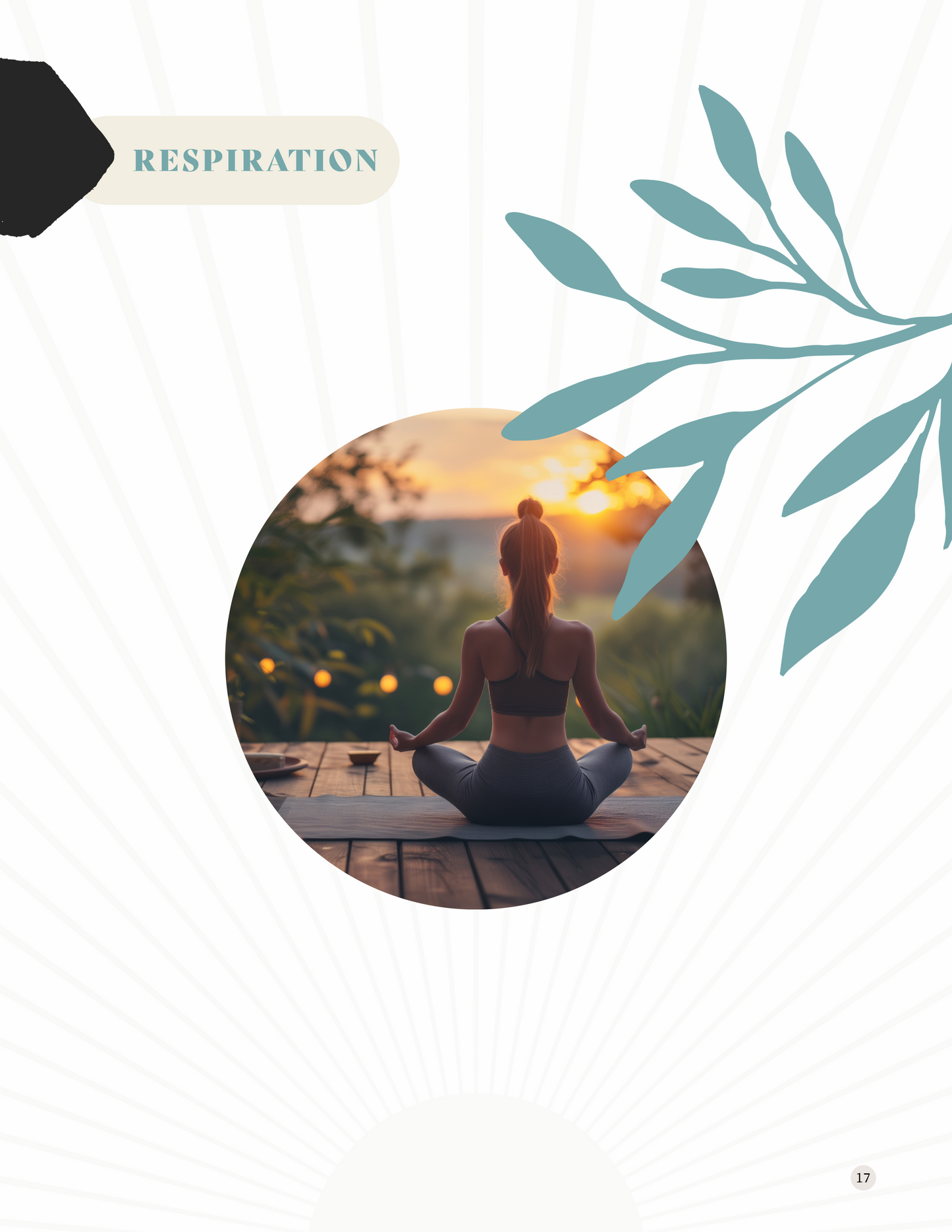 Chill and Release | E-Book