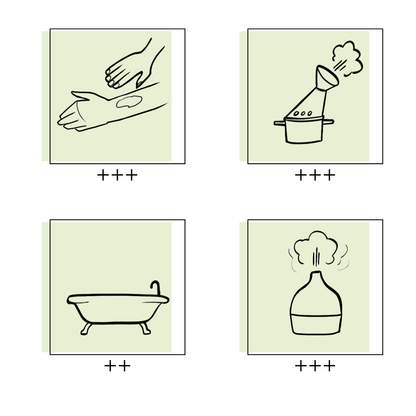 Synergie parfumée | Détente