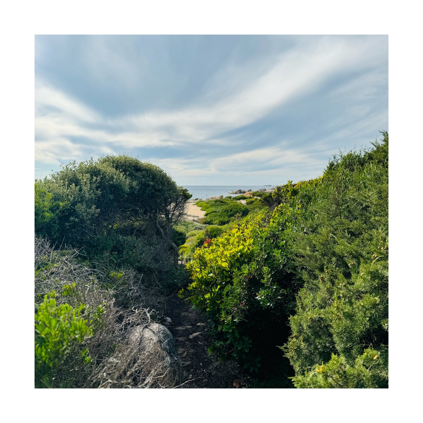 RANDO YOGA | REFUGE DE SENETOSA