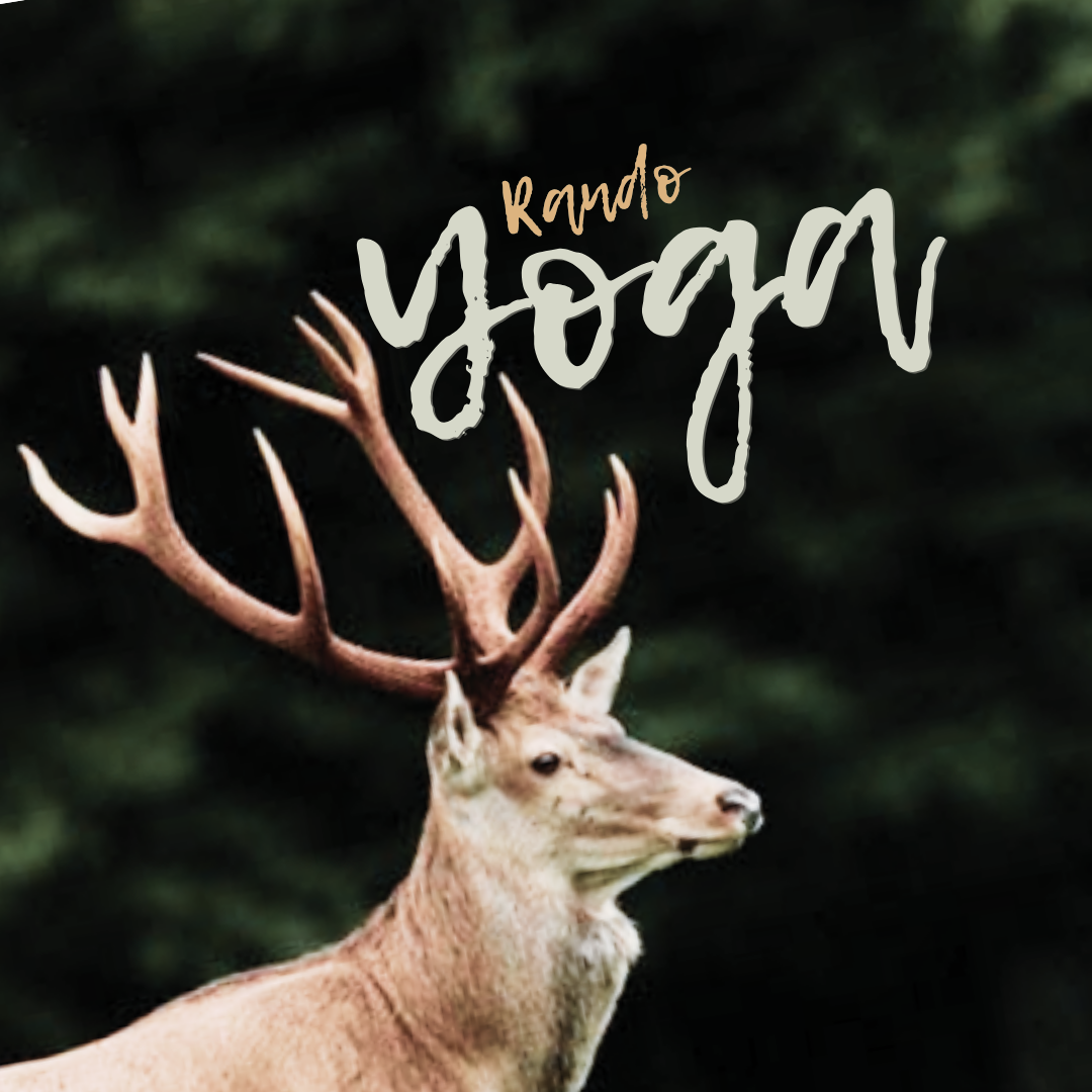 RANDO YOGA | ALTA ROCCA