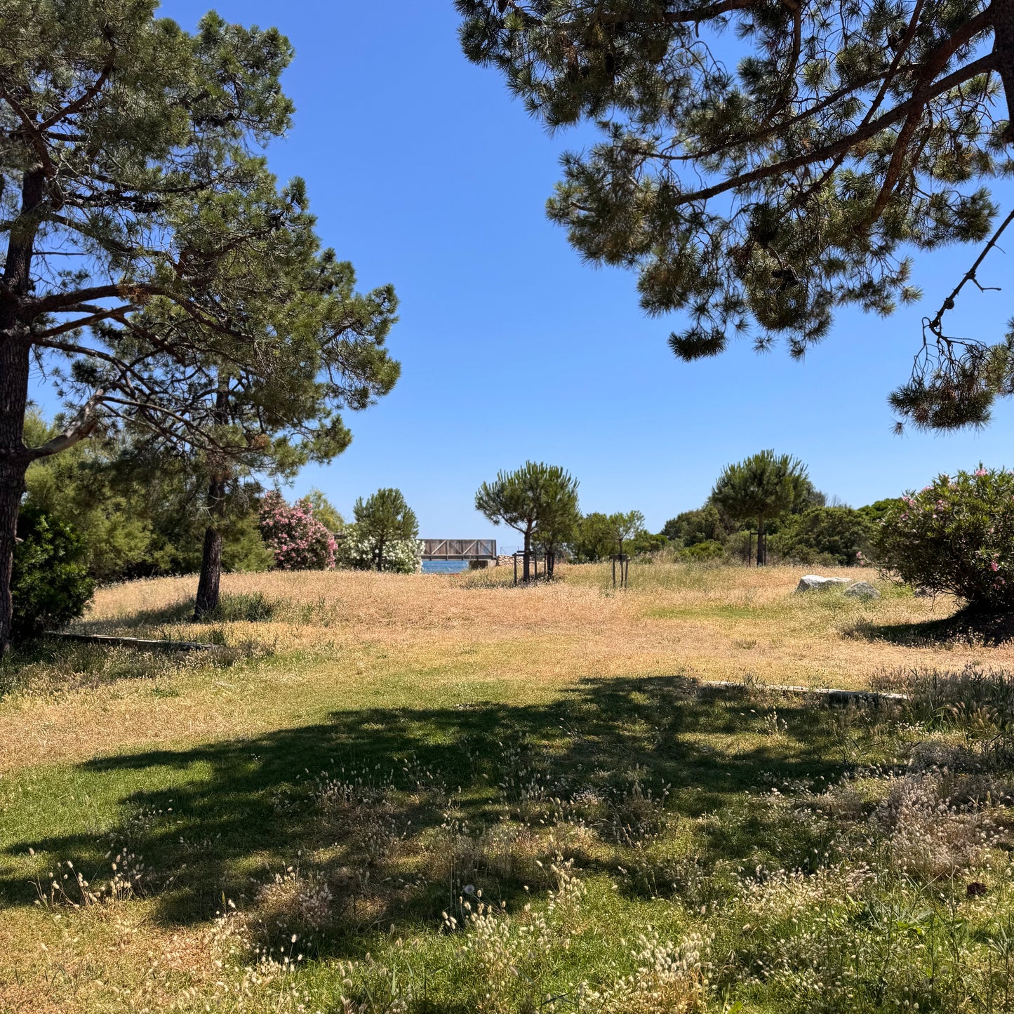 Cours Yoga | Baie de Saint Cyprien DImanche 14 Juin