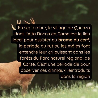 RANDO YOGA | ALTA ROCCA