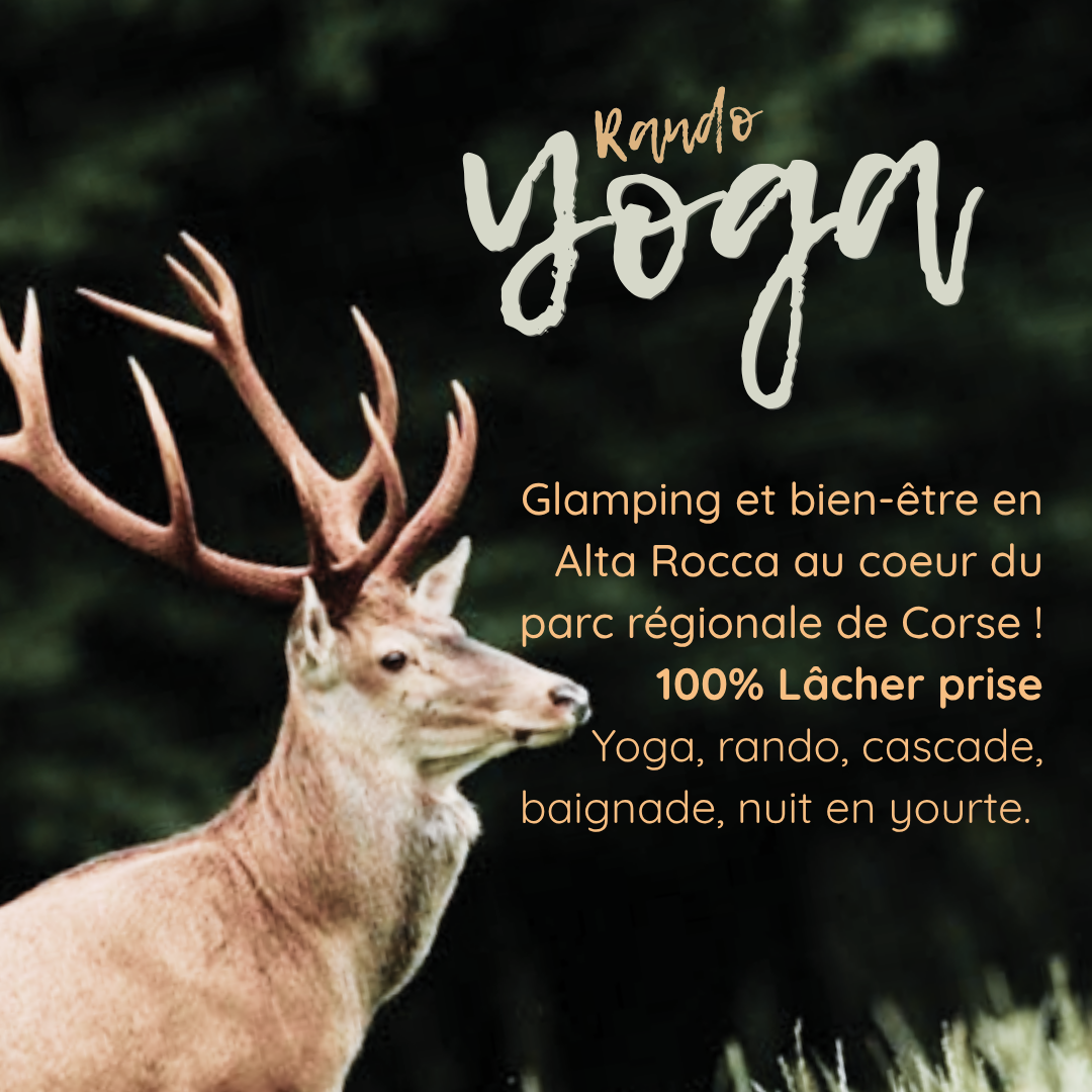 RANDO YOGA | ALTA ROCCA