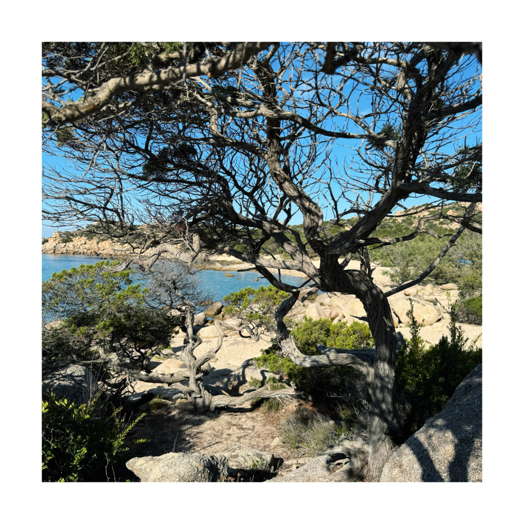 RANDO YOGA | REFUGE DE SENETOSA