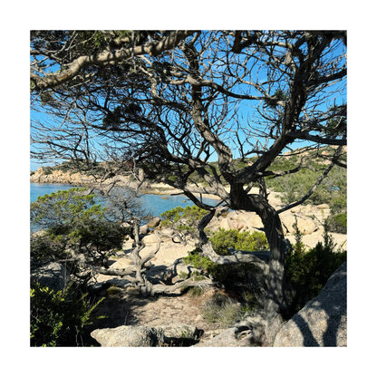 RANDO YOGA | REFUGE DE SENETOSA