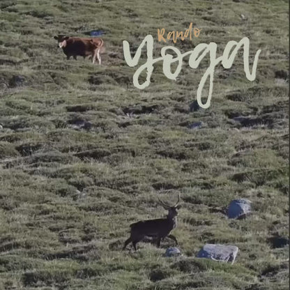 RANDO YOGA | ALTA ROCCA